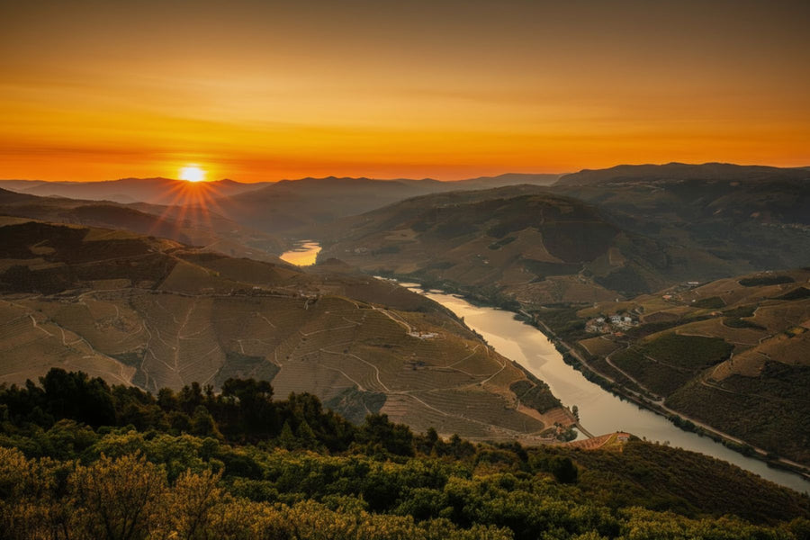 Douro Magnífico | Rio, Paisagem e Contemplação