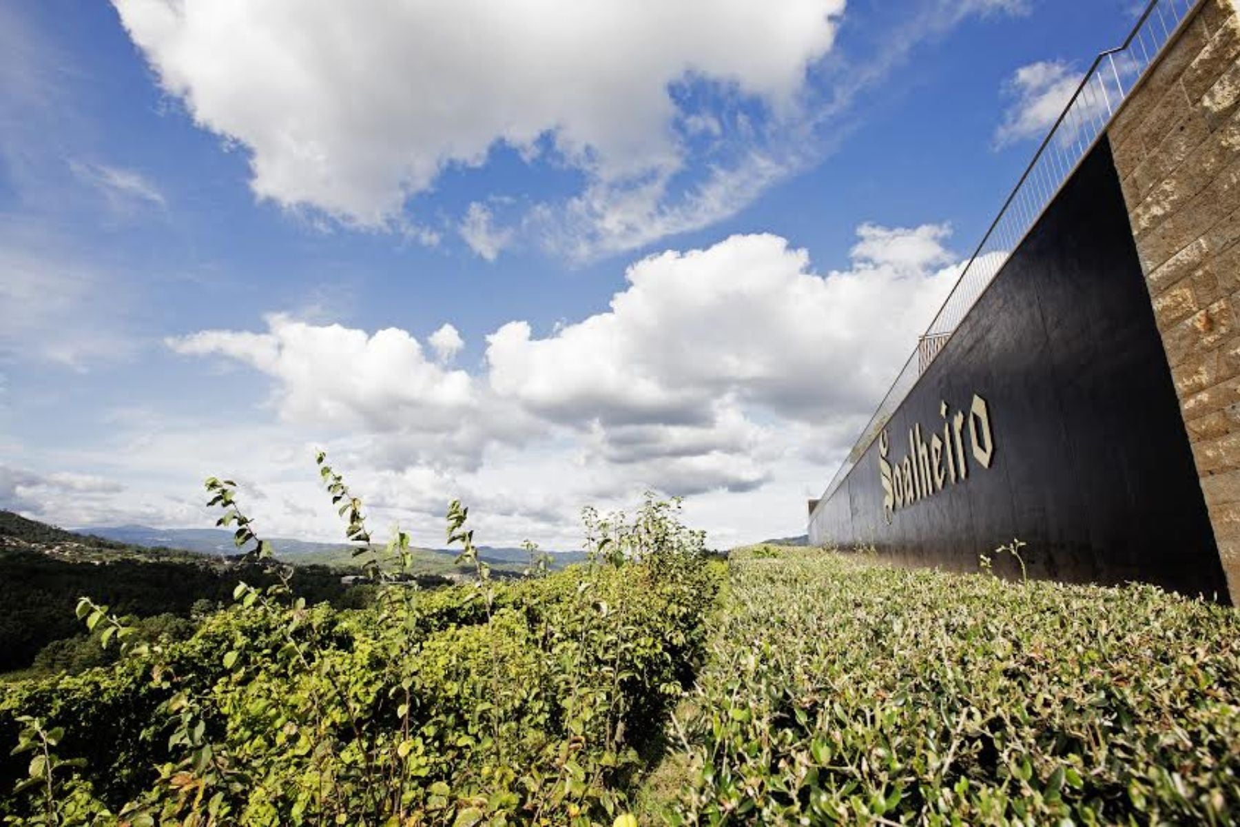 Soalheiro winery and vineyard landscapes in Alto Minho, Northern Portugal