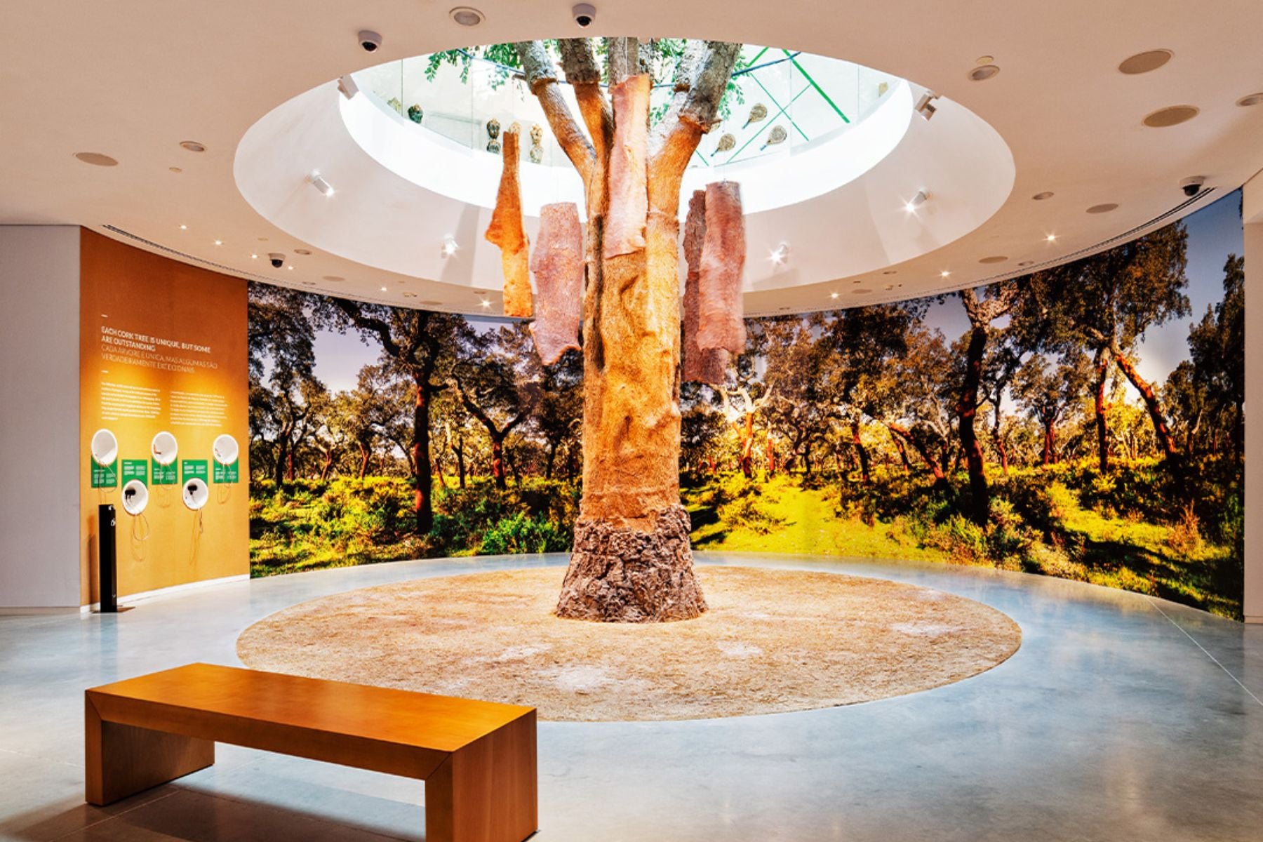 Planet Cork Museum exhibition at WOW – World of Wine in Porto