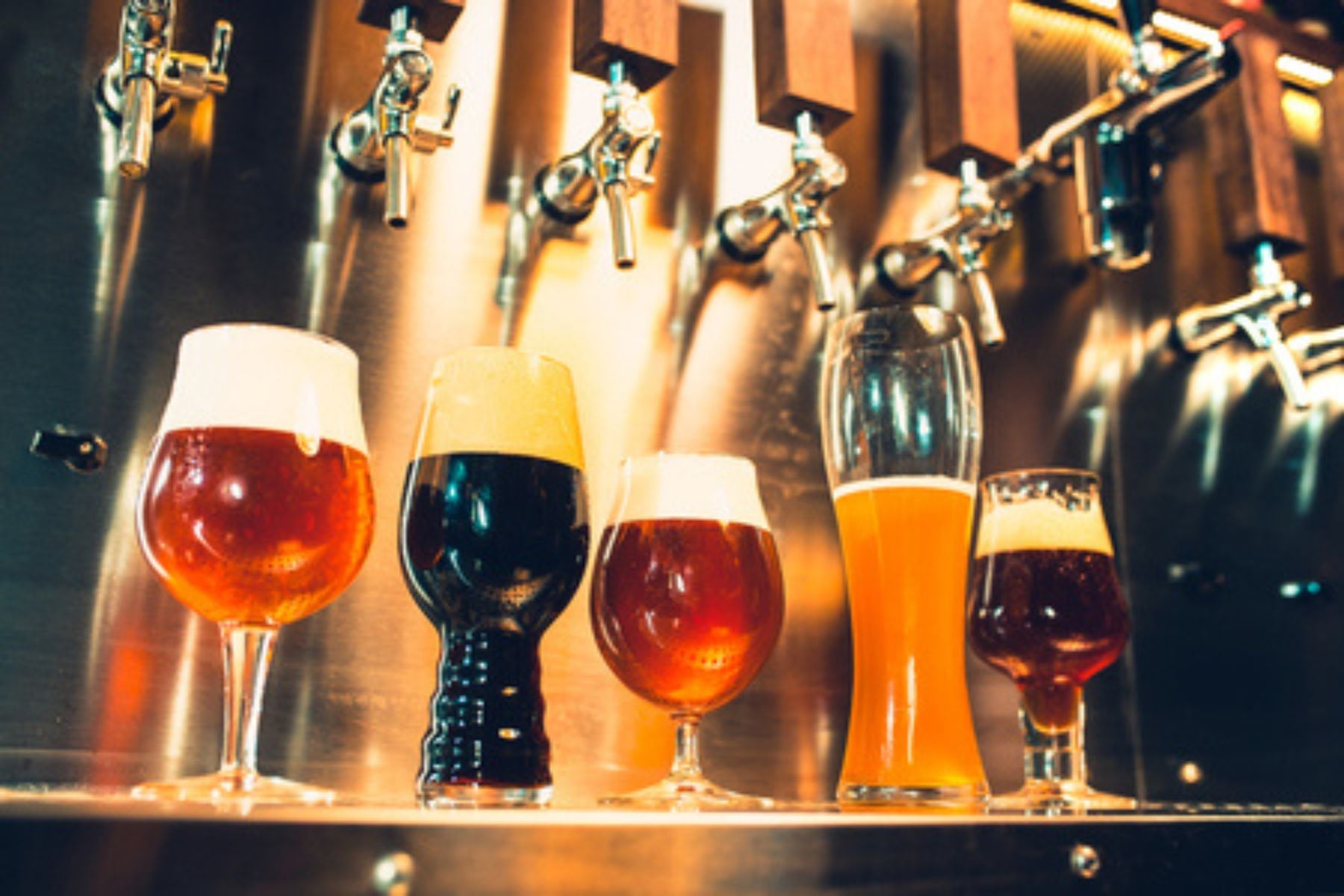 Craft beer tasting with a selection of local beers in Porto, Northern Portugal